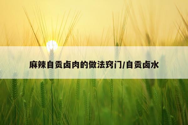 麻辣自贡卤肉的做法窍门/自贡卤水