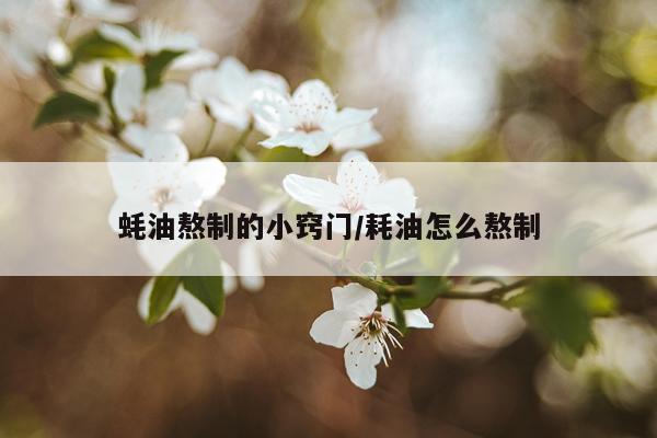 蚝油熬制的小窍门/耗油怎么熬制
