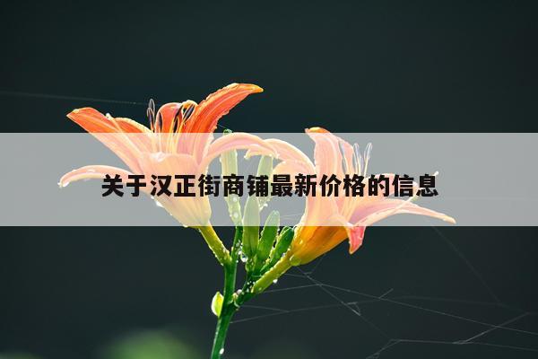 关于汉正街商铺最新价格的信息