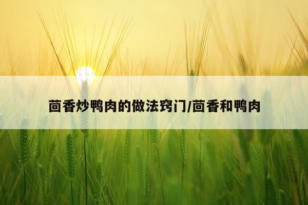 茴香炒鸭肉的做法窍门/茴香和鸭肉