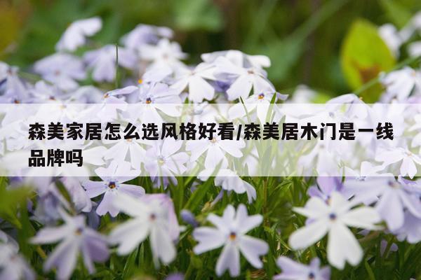 森美家居怎么选风格好看/森美居木门是一线品牌吗
