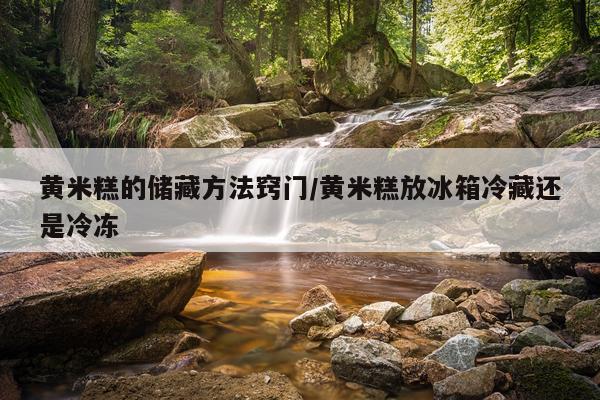 黄米糕的储藏方法窍门/黄米糕放冰箱冷藏还是冷冻