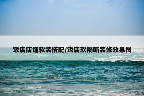 饭店店铺软装搭配/饭店软隔断装修效果图