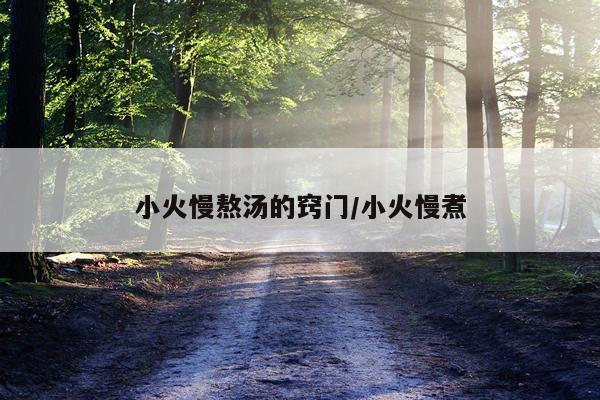 小火慢熬汤的窍门/小火慢煮