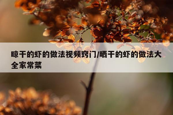 晾干的虾的做法视频窍门/晒干的虾的做法大全家常菜