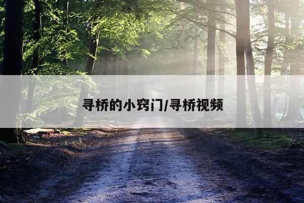寻桥的小窍门/寻桥视频