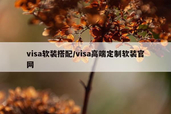 visa软装搭配/visa高端定制软装官网