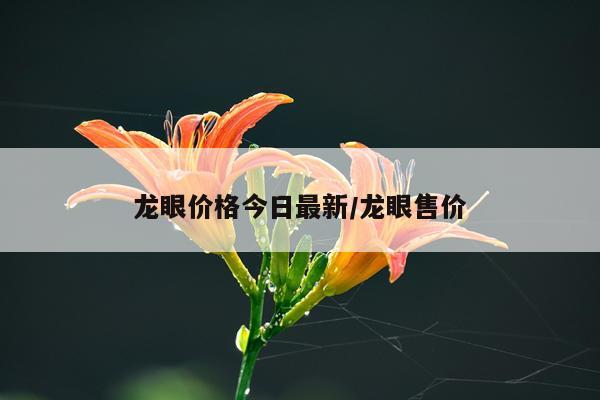 龙眼价格今日最新/龙眼售价