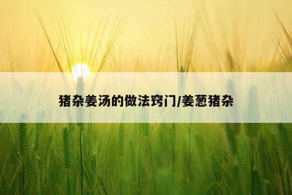 猪杂姜汤的做法窍门/姜葱猪杂