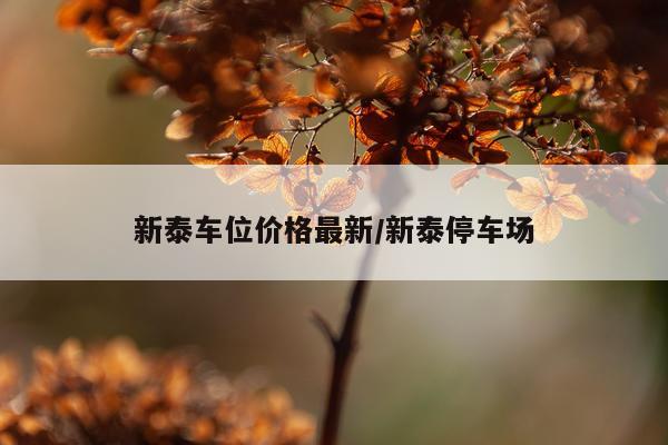 新泰车位价格最新/新泰停车场