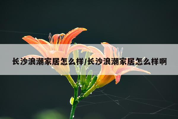 长沙浪潮家居怎么样/长沙浪潮家居怎么样啊