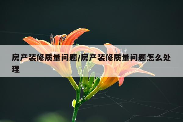 房产装修质量问题/房产装修质量问题怎么处理