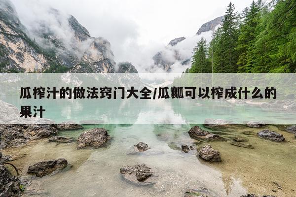 瓜榨汁的做法窍门大全/瓜瓤可以榨成什么的果汁
