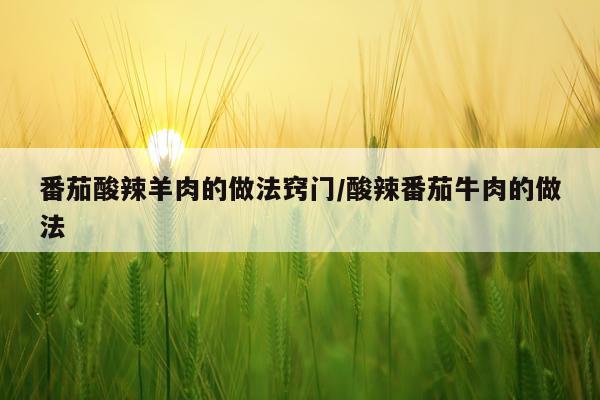 番茄酸辣羊肉的做法窍门/酸辣番茄牛肉的做法