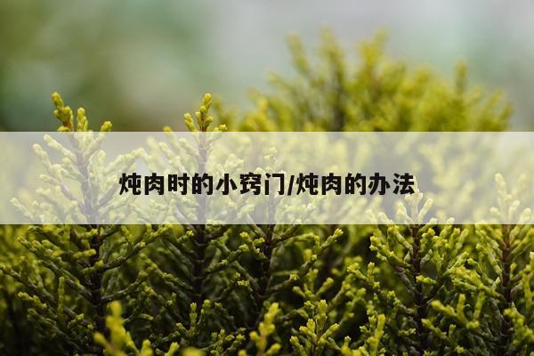 炖肉时的小窍门/炖肉的办法