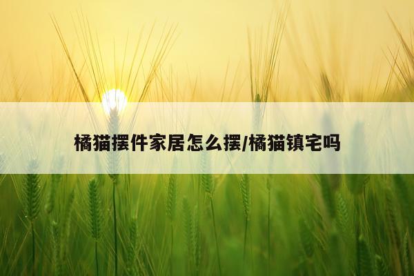 橘猫摆件家居怎么摆/橘猫镇宅吗