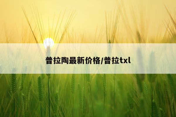 普拉陶最新价格/普拉txl