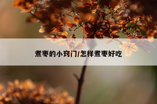 煮枣的小窍门/怎样煮枣好吃