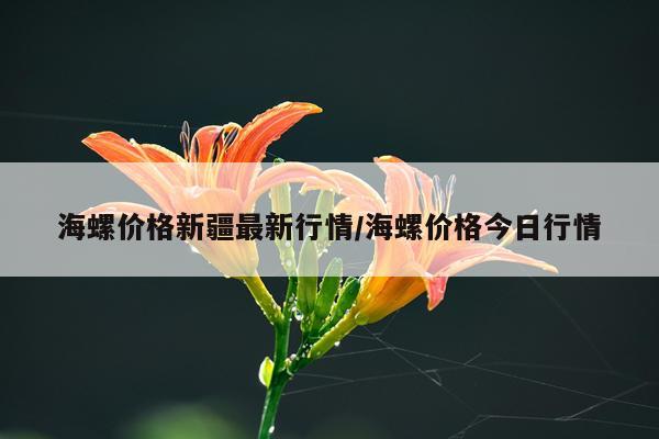 海螺价格新疆最新行情/海螺价格今日行情