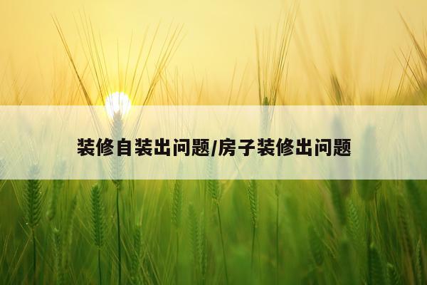 装修自装出问题/房子装修出问题