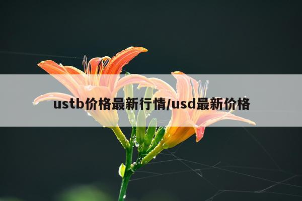 ustb价格最新行情/usd最新价格