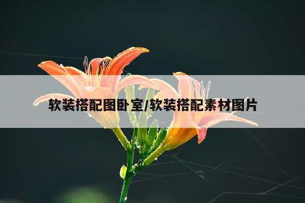 软装搭配图卧室/软装搭配素材图片