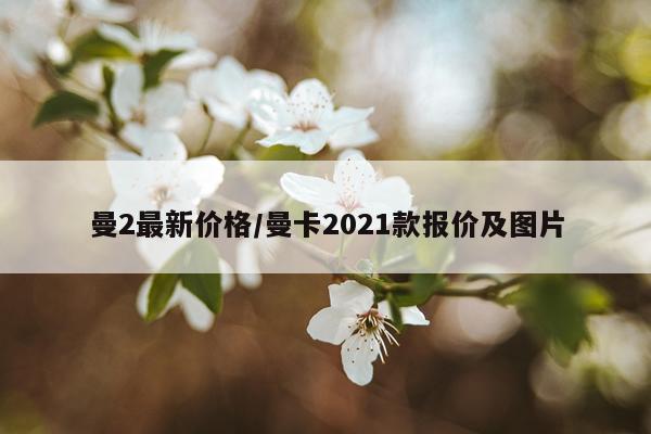 曼2最新价格/曼卡2021款报价及图片