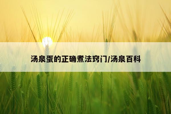 汤泉蛋的正确煮法窍门/汤泉百科