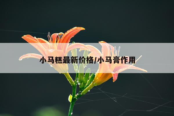 小马糕最新价格/小马膏作用
