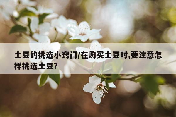 土豆的挑选小窍门/在购买土豆时,要注意怎样挑选土豆?