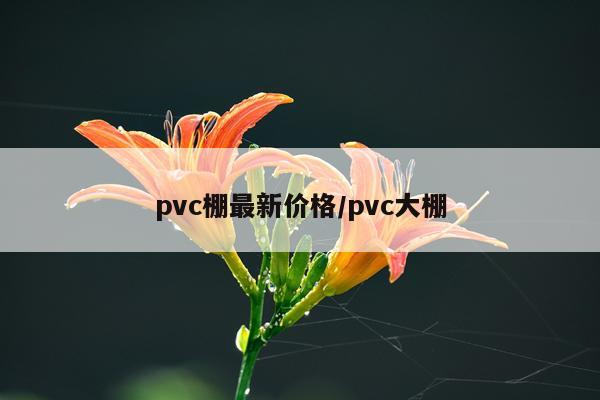 pvc棚最新价格/pvc大棚