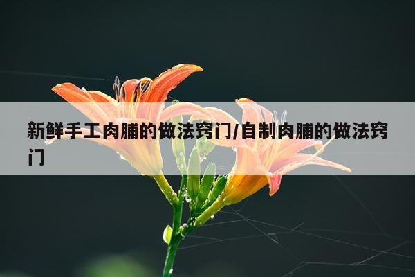 新鲜手工肉脯的做法窍门/自制肉脯的做法窍门