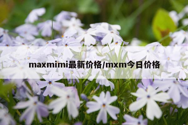 maxmimi最新价格/mxm今日价格