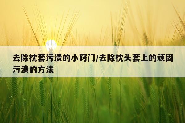 去除枕套污渍的小窍门/去除枕头套上的顽固污渍的方法