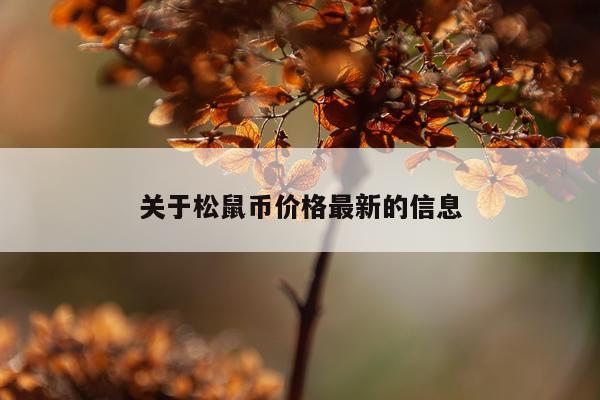 关于松鼠币价格最新的信息