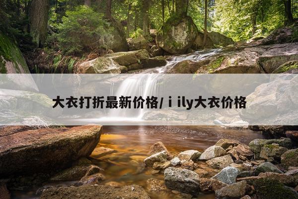 大衣打折最新价格/ⅰily大衣价格