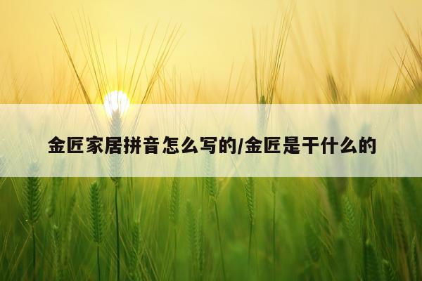 金匠家居拼音怎么写的/金匠是干什么的