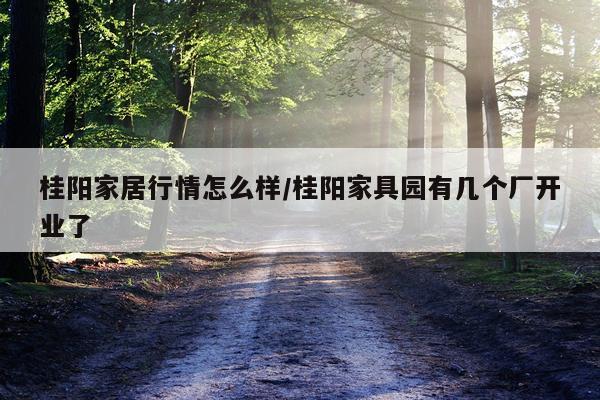 桂阳家居行情怎么样/桂阳家具园有几个厂开业了