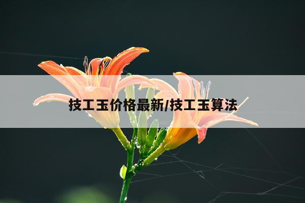 技工玉价格最新/技工玉算法