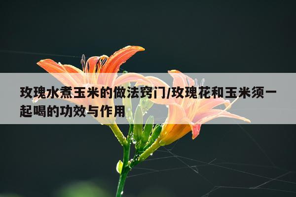 玫瑰水煮玉米的做法窍门/玫瑰花和玉米须一起喝的功效与作用