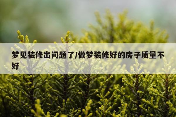梦见装修出问题了/做梦装修好的房子质量不好