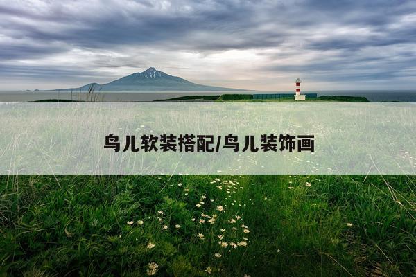 鸟儿软装搭配/鸟儿装饰画