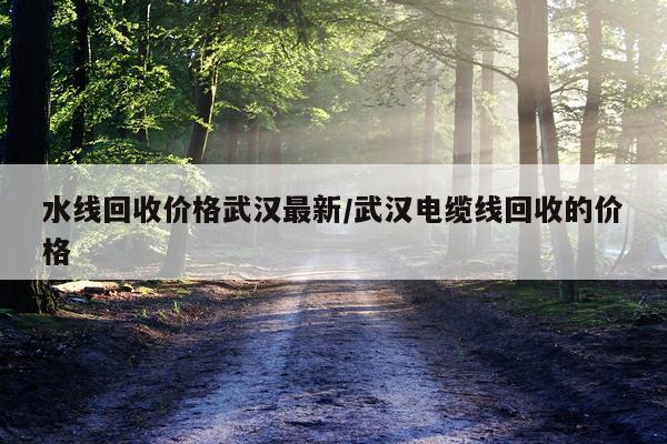 水线回收价格武汉最新/武汉电缆线回收的价格