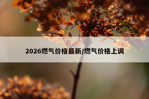 2026燃气价格最新/燃气价格上调