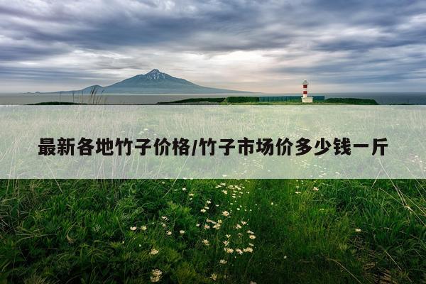 最新各地竹子价格/竹子市场价多少钱一斤