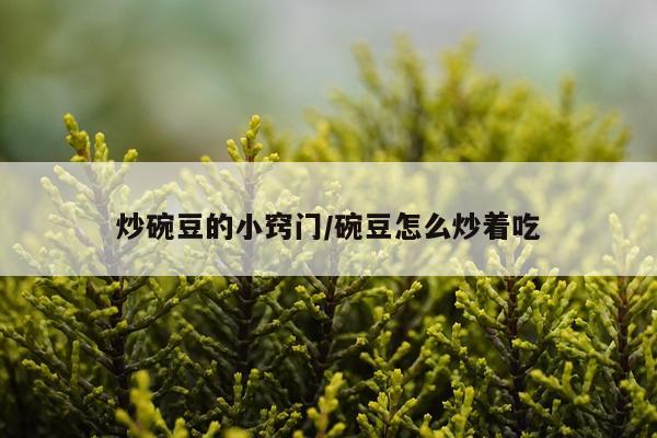 炒碗豆的小窍门/碗豆怎么炒着吃