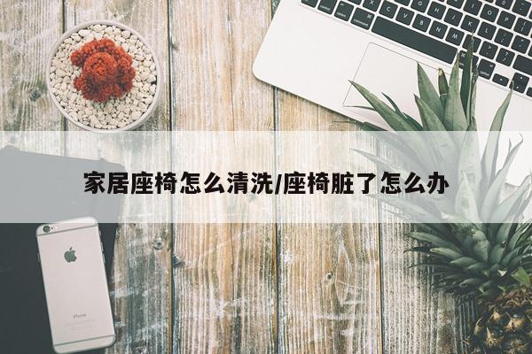 家居座椅怎么清洗/座椅脏了怎么办