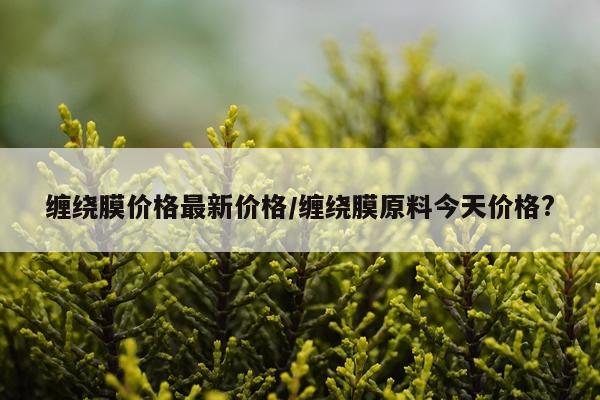缠绕膜价格最新价格/缠绕膜原料今天价格?