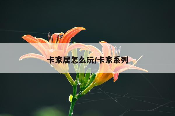卡家居怎么玩/卡家系列