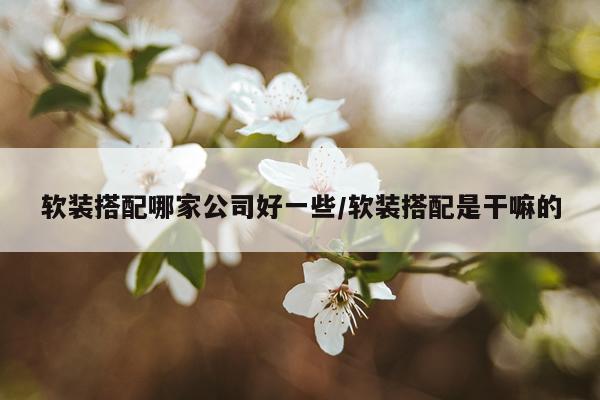 软装搭配哪家公司好一些/软装搭配是干嘛的